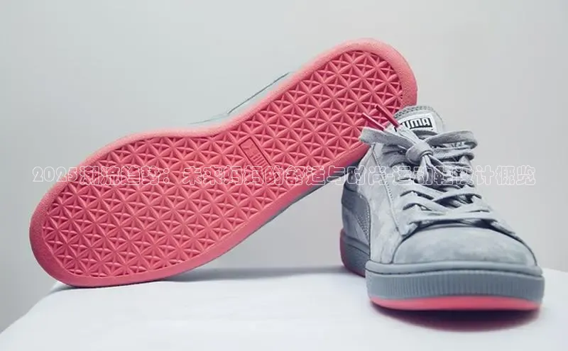 XCSport网页版入口