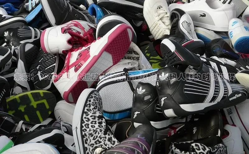 XCSport网页版入口