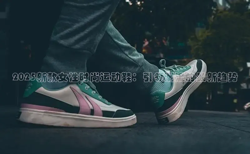 xc体育